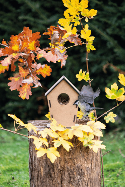 ECO HOME - Vogelhuis